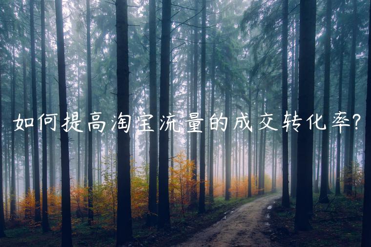 如何提高淘寶流量的成交轉(zhuǎn)化率?